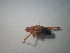  ( - CCDB-11143-F03)  @12 [ ] Copyright  G. Blagoev 2011 Unspecified