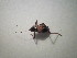 ( - CCDB-11143-G04)  @12 [ ] Copyright  G. Blagoev 2011 Unspecified