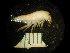  (Traskorchestia - WA-020_011)  @13 [ ] CreativeCommons  Attribution Non-Commercial Share-Alike (2016) Unspecified DFO
