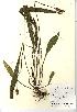  ( - NBGW1053)  @11 [ ] Unspecified (default): All Rights Reserved  Unspecified Unspecified