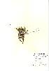  ( - NBGW1072)  @11 [ ] Unspecified (default): All Rights Reserved  Unspecified Unspecified