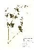  ( - NBGW3007)  @11 [ ] Unspecified (default): All Rights Reserved  Unspecified Unspecified