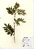  ( - NBGW3037)  @11 [ ] Unspecified (default): All Rights Reserved  Unspecified Unspecified