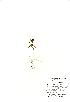  ( - NBGW4017)  @11 [ ] Unspecified (default): All Rights Reserved  Unspecified Unspecified
