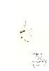  ( - NBGW4050)  @11 [ ] Unspecified (default): All Rights Reserved  Unspecified Unspecified