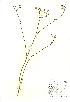  ( - NBGW5019)  @11 [ ] Unspecified (default): All Rights Reserved  Unspecified Unspecified