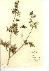  ( - NMW008)  @11 [ ] Unspecified (default): All Rights Reserved  Unspecified Unspecified