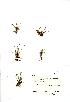 ( - NMW017)  @11 [ ] Unspecified (default): All Rights Reserved  Unspecified Unspecified