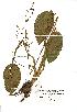  ( - NMW022)  @11 [ ] Unspecified (default): All Rights Reserved  Unspecified Unspecified