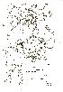  ( - NMW115)  @11 [ ] Unspecified (default): All Rights Reserved  Unspecified Unspecified