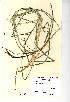  ( - NMW135)  @11 [ ] Unspecified (default): All Rights Reserved  Unspecified Unspecified