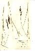  ( - NMW155)  @11 [ ] Unspecified (default): All Rights Reserved  Unspecified Unspecified