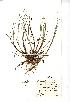  ( - NMW161)  @11 [ ] Unspecified (default): All Rights Reserved  Unspecified Unspecified