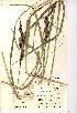  ( - NMW171)  @11 [ ] Unspecified (default): All Rights Reserved  Unspecified Unspecified