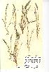  ( - NMW180)  @11 [ ] Unspecified (default): All Rights Reserved  Unspecified Unspecified