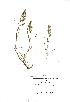  ( - NMW181)  @11 [ ] Unspecified (default): All Rights Reserved  Unspecified Unspecified