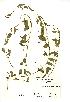  ( - NMW237)  @11 [ ] Unspecified (default): All Rights Reserved  Unspecified Unspecified