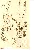  ( - NMW266)  @11 [ ] Unspecified (default): All Rights Reserved  Unspecified Unspecified