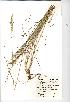  ( - NMW287)  @11 [ ] Unspecified (default): All Rights Reserved  Unspecified Unspecified