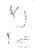  ( - NMW289)  @11 [ ] Unspecified (default): All Rights Reserved  Unspecified Unspecified