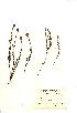  ( - NMW299)  @11 [ ] Unspecified (default): All Rights Reserved  Unspecified Unspecified