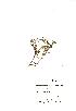  ( - NMW306)  @11 [ ] Unspecified (default): All Rights Reserved  Unspecified Unspecified