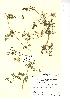  ( - NMW360)  @11 [ ] Unspecified (default): All Rights Reserved  Unspecified Unspecified