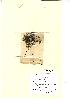  ( - NMW502)  @11 [ ] Unspecified (default): All Rights Reserved  Unspecified Unspecified