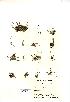  ( - NMW550)  @11 [ ] Unspecified (default): All Rights Reserved  Unspecified Unspecified