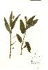  ( - NMW612)  @11 [ ] Unspecified (default): All Rights Reserved  Unspecified Unspecified