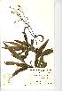  ( - NMW694)  @11 [ ] Unspecified (default): All Rights Reserved  Unspecified Unspecified