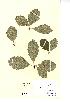  ( - NMW712)  @11 [ ] Unspecified (default): All Rights Reserved  Unspecified Unspecified