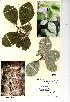  ( - NMW729)  @11 [ ] Unspecified (default): All Rights Reserved  Unspecified Unspecified