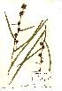  ( - NMW736)  @11 [ ] Unspecified (default): All Rights Reserved  Unspecified Unspecified