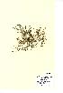  ( - NMW742)  @11 [ ] Unspecified (default): All Rights Reserved  Unspecified Unspecified