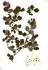  ( - NMW750)  @11 [ ] Unspecified (default): All Rights Reserved  Unspecified Unspecified