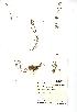  ( - NMW787)  @11 [ ] Unspecified (default): All Rights Reserved  Unspecified Unspecified