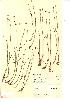 ( - NMW806)  @11 [ ] Unspecified (default): All Rights Reserved  Unspecified Unspecified