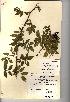  ( - NMW818)  @11 [ ] Unspecified (default): All Rights Reserved  Unspecified Unspecified