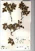  ( - NMW821)  @11 [ ] Unspecified (default): All Rights Reserved  Unspecified Unspecified