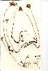  ( - NMW846)  @11 [ ] Unspecified (default): All Rights Reserved  Unspecified Unspecified
