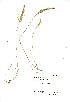  ( - NMW908)  @11 [ ] Unspecified (default): All Rights Reserved  Unspecified Unspecified