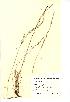  ( - NMW909)  @11 [ ] Unspecified (default): All Rights Reserved  Unspecified Unspecified