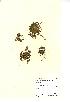  ( - NMW954)  @11 [ ] Unspecified (default): All Rights Reserved  Unspecified Unspecified