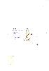 (Valerianella eriocarpa - NMW955)  @11 [ ] Unspecified (default): All Rights Reserved  Unspecified Unspecified