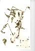  ( - NMW972)  @11 [ ] Unspecified (default): All Rights Reserved  Unspecified Unspecified