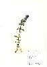  ( - NBGW6009)  @11 [ ] Unspecified (default): All Rights Reserved  Unspecified Unspecified