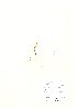  (Trifolium campestre - NBGW6053)  @11 [ ] Unspecified (default): All Rights Reserved  Unspecified Unspecified