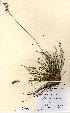  ( - NMW5013)  @11 [ ] Unspecified (default): All Rights Reserved  Unspecified Unspecified