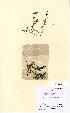  ( - NMW5050)  @11 [ ] Unspecified (default): All Rights Reserved  Unspecified Unspecified